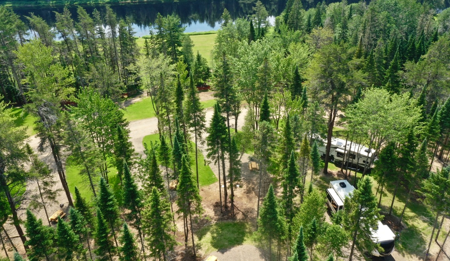 naturesnest naturesnest