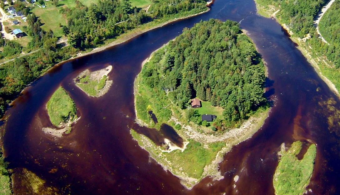 doctorsisland