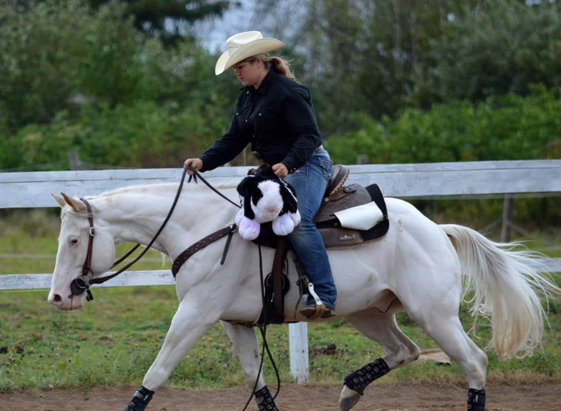 saddletramp2