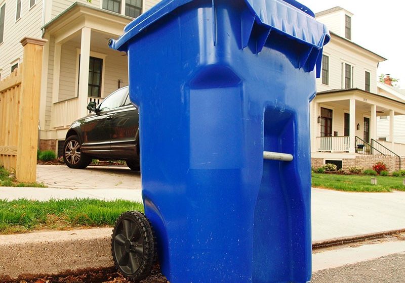 bluebin