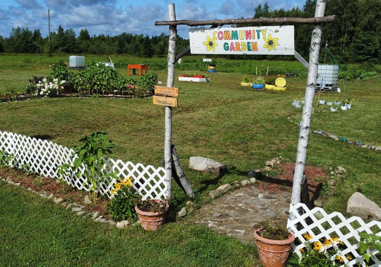 communitygarden