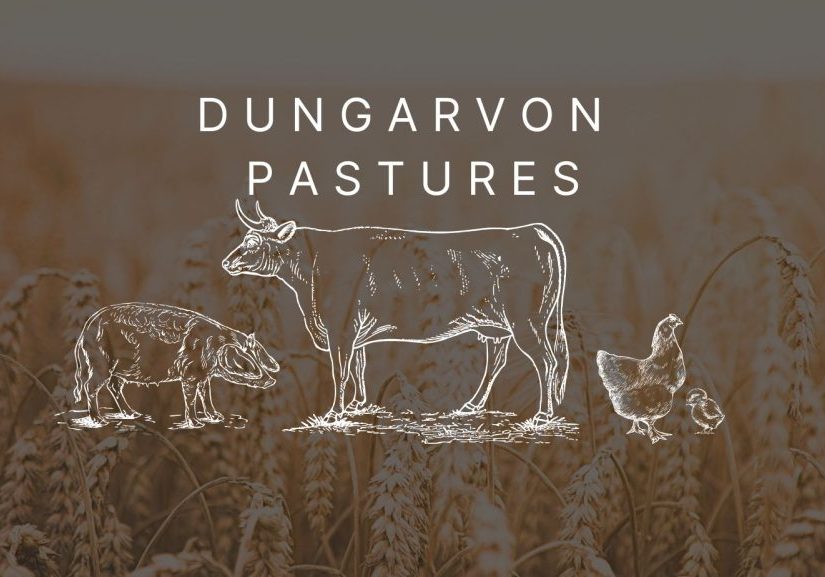dungarvonpastures dungarvonpastures