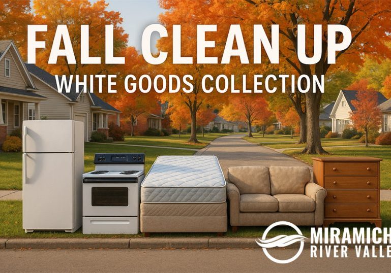 fallcollectionwhitegoods