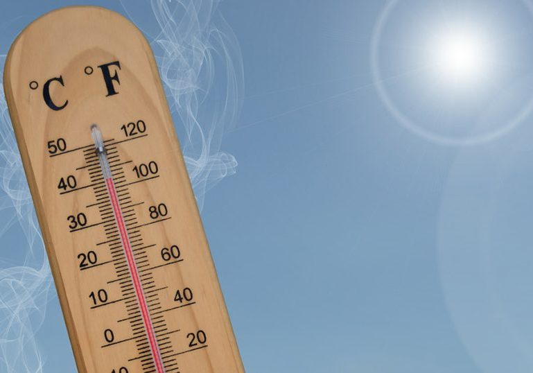 Canicule
