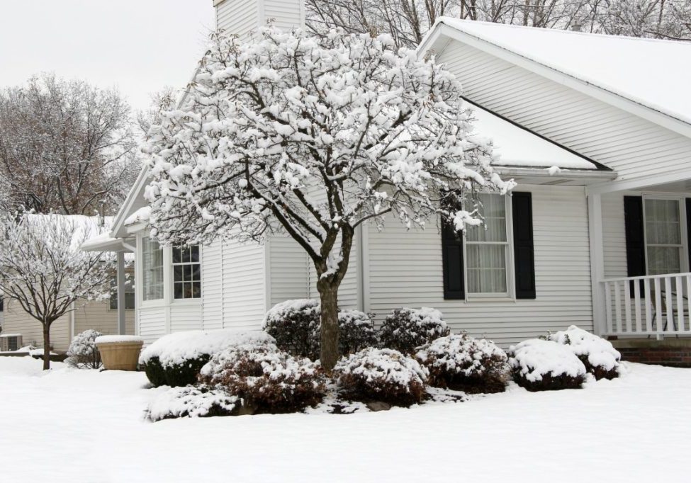 house-in-winter