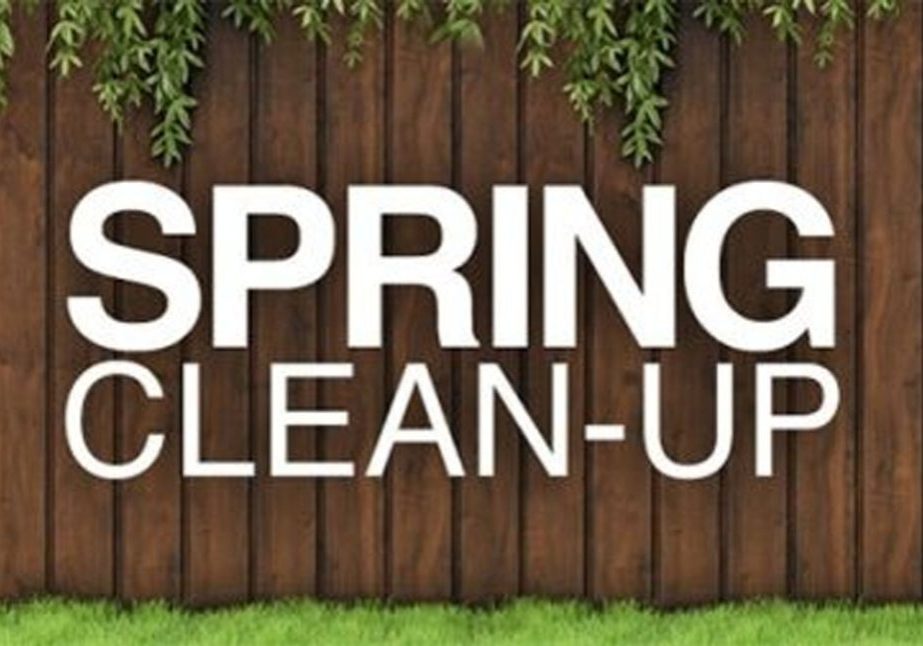 springcleanup